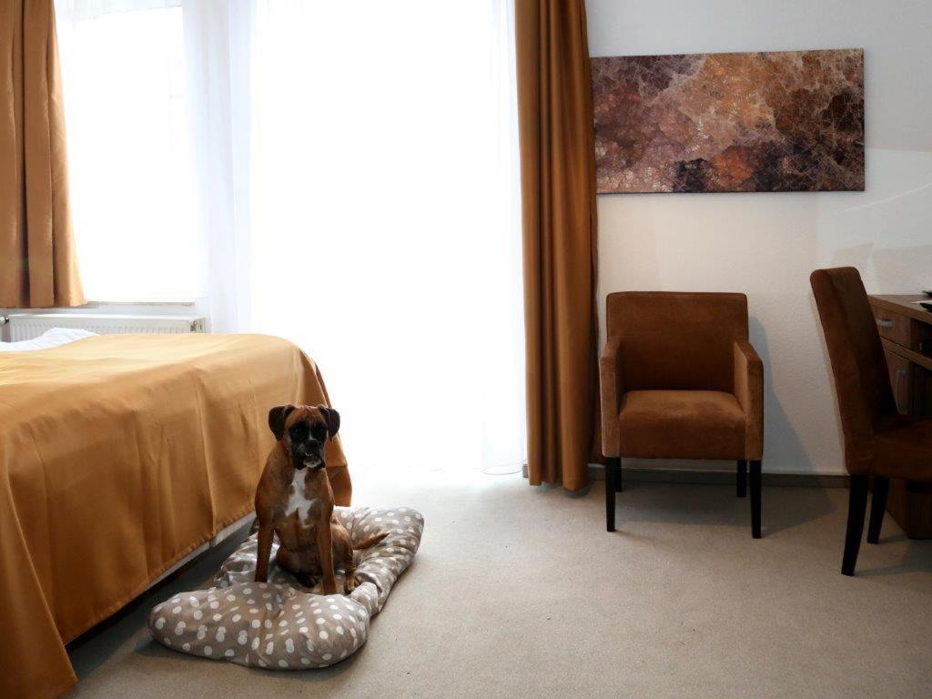 Arthotel Бад-Пирмонт Экстерьер фото